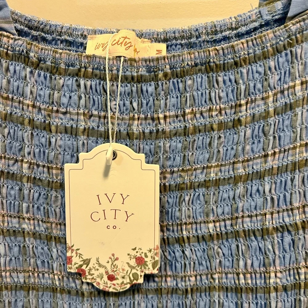 Ivy City Co Madeline dress in light blue plaid - Picture 4 of 5